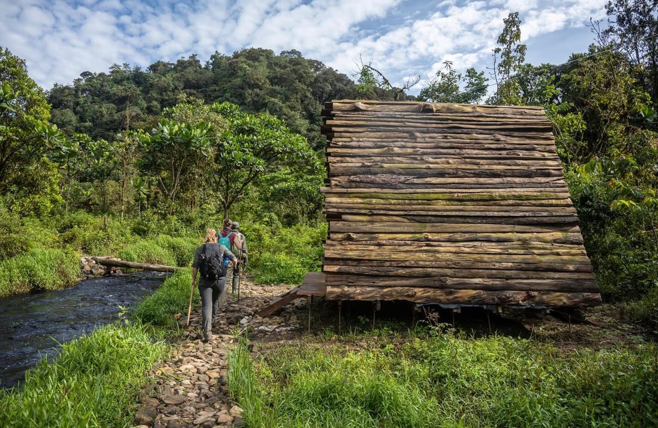 Cyinzobe Trail Hike in Nyungwe N.P